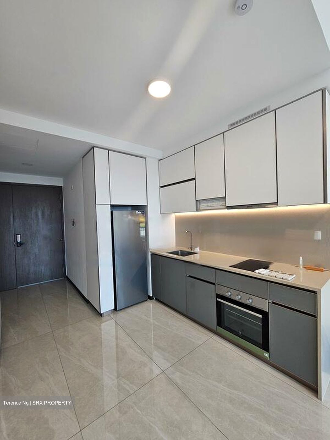Normanton Park (D5), Apartment #483411111